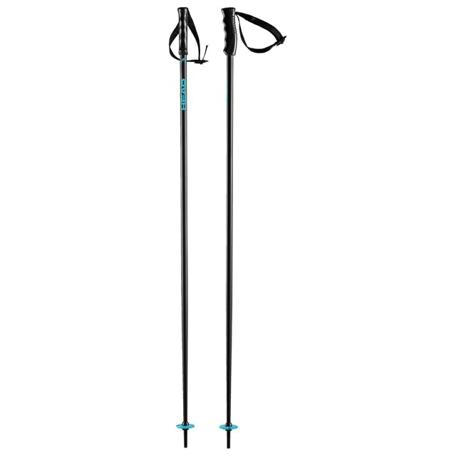 Bastoncini da sci HEAD Multi neri e blu speed